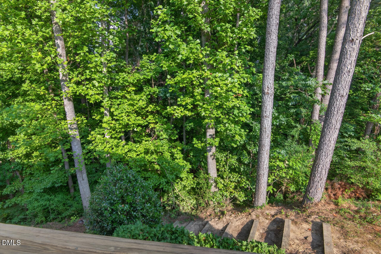 806 Carved Oak Drive