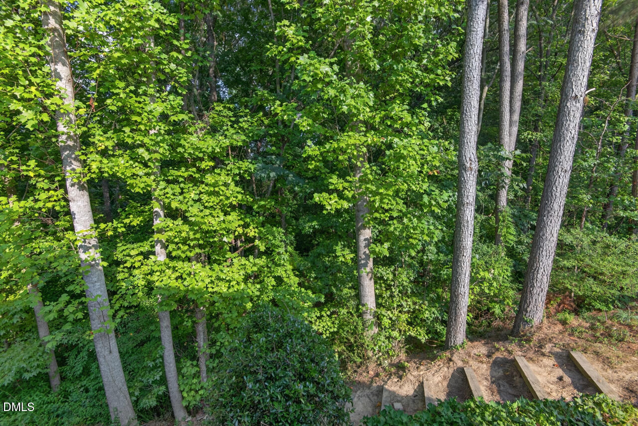 806 Carved Oak Drive