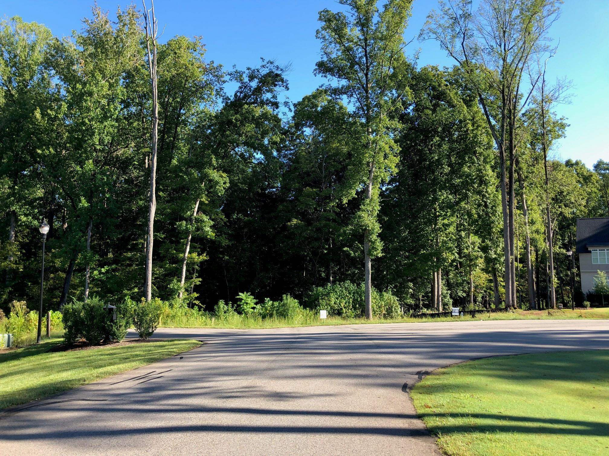 6200 Old Miravalle Court Lot 9