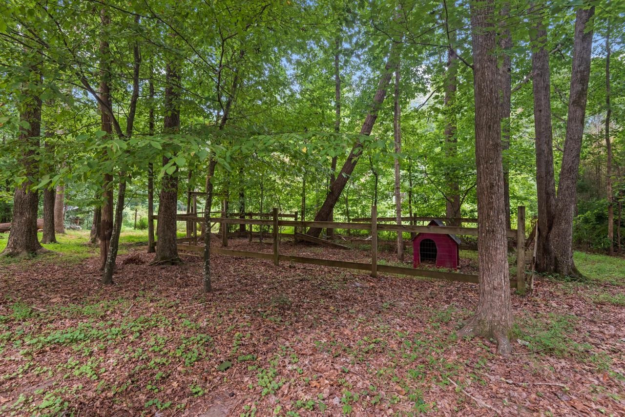 509 Carl Drive