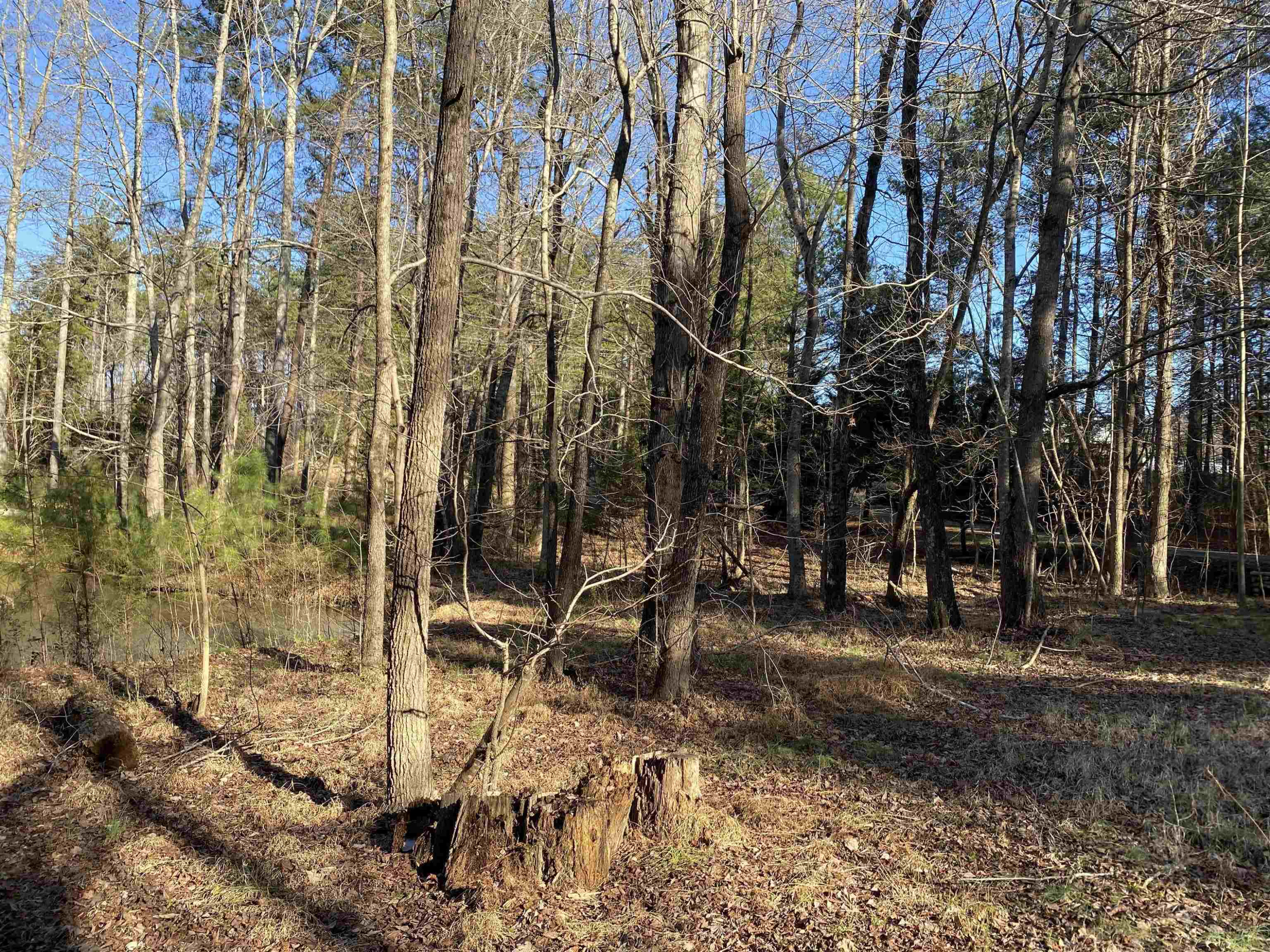 3311 Country Pine Lane