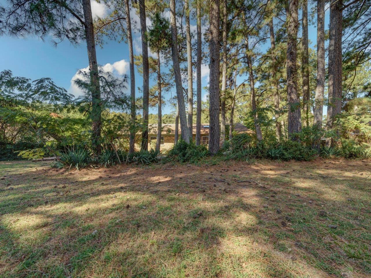 3115 Hope Valley Road