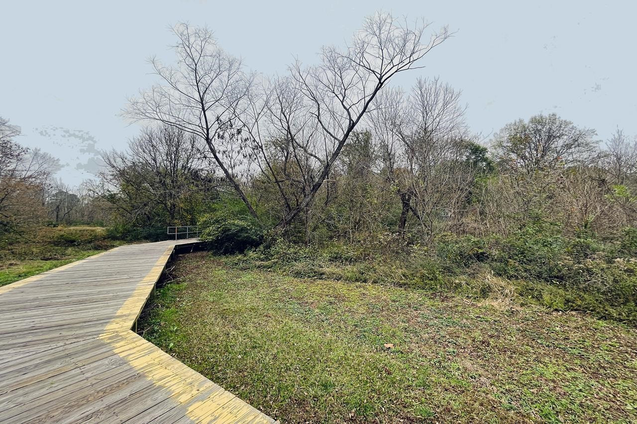 3631 Courtland Drive