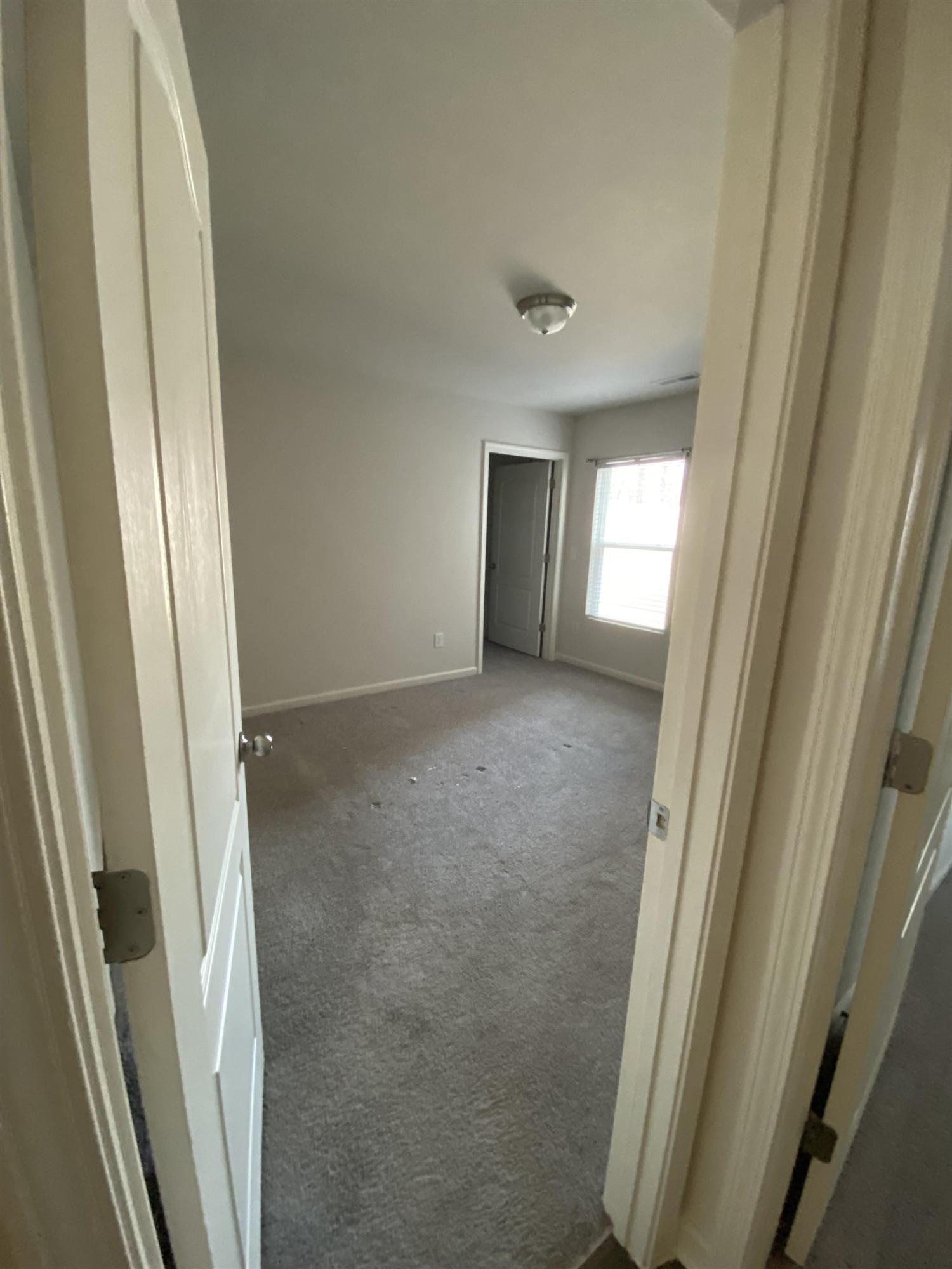 2484 Whirlwind Lane