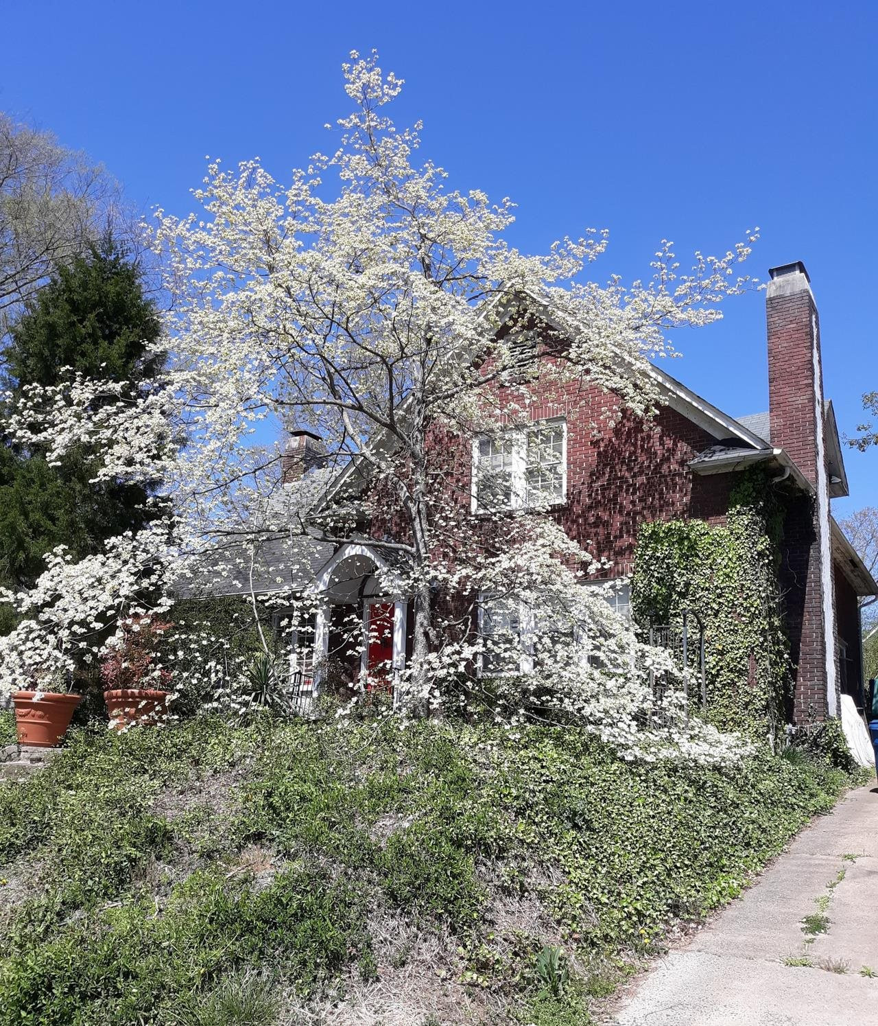 314 W Trinity Avenue