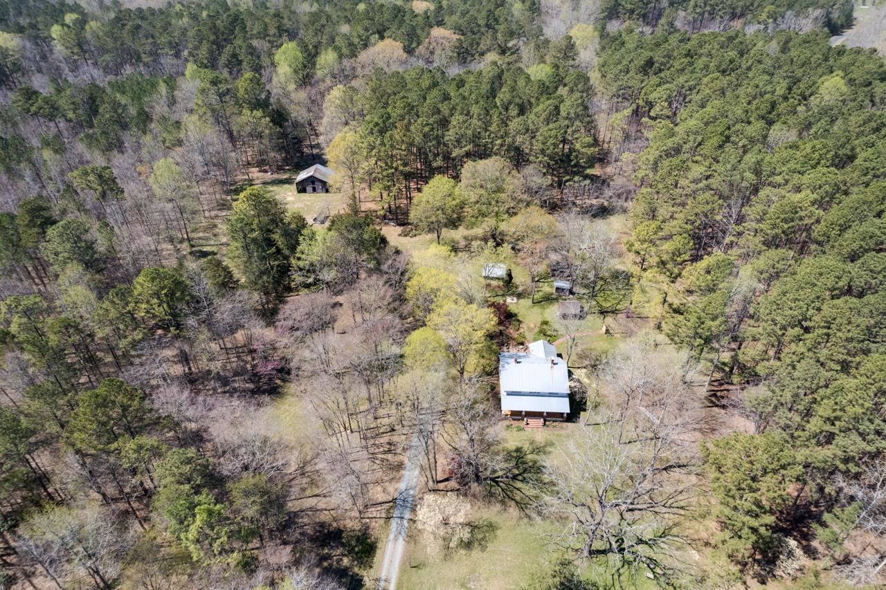 7305 Old NC 86 Highway