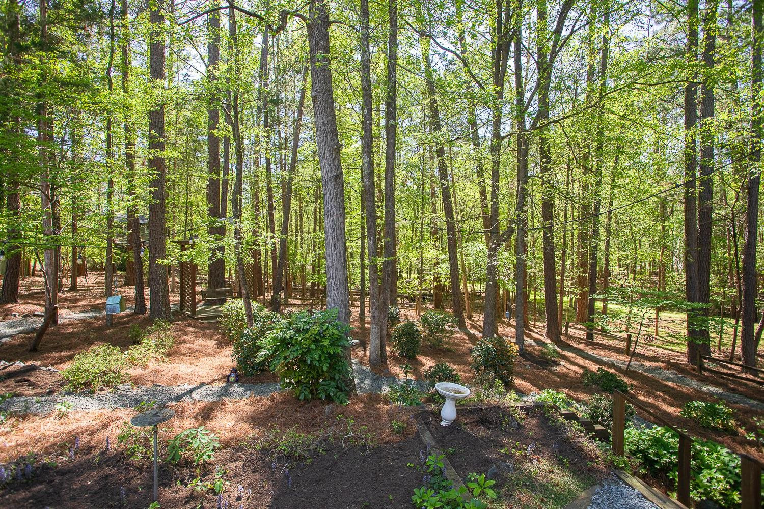 2448 Springview Trail