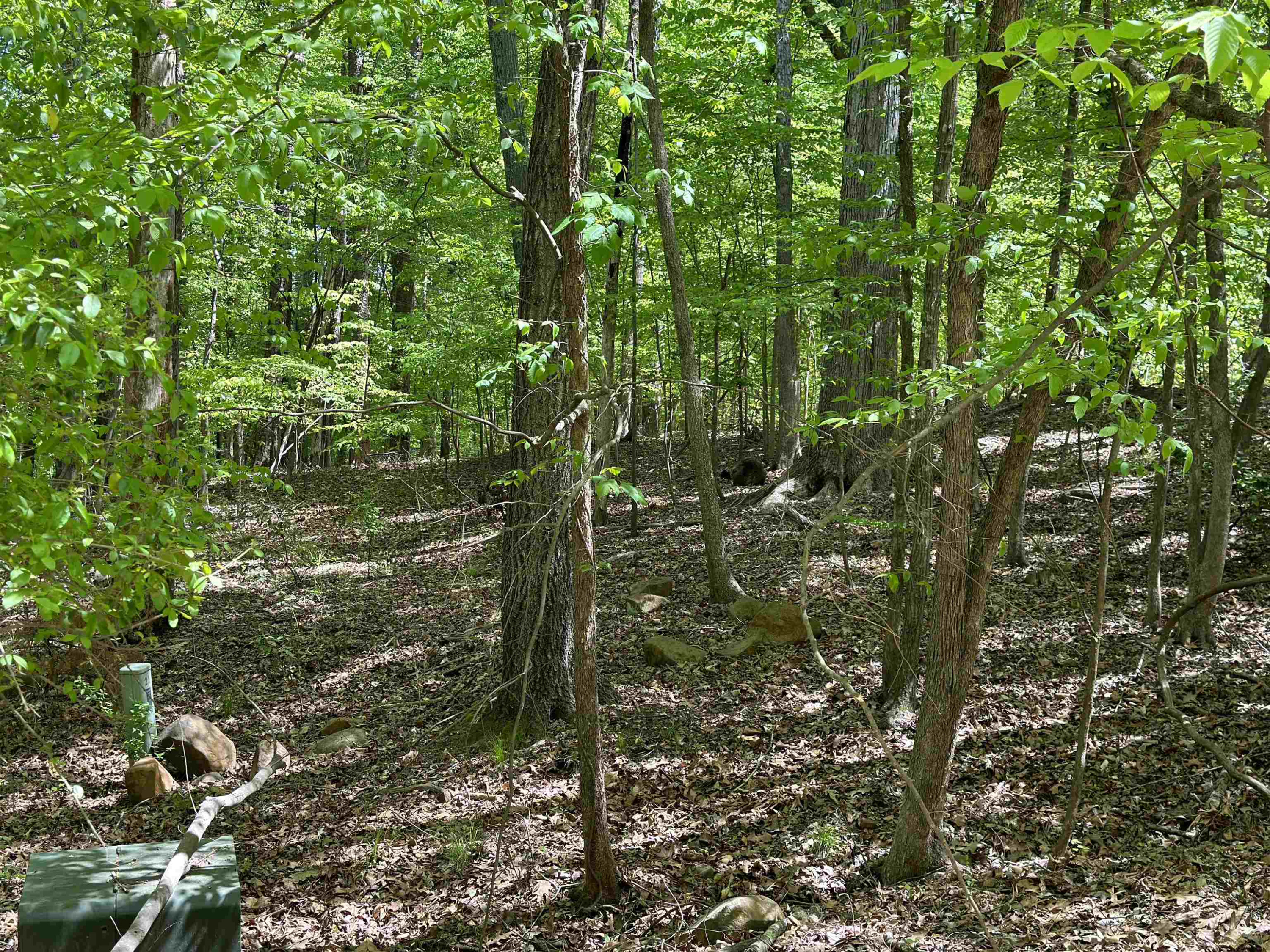 3900 Deep Wood Circle