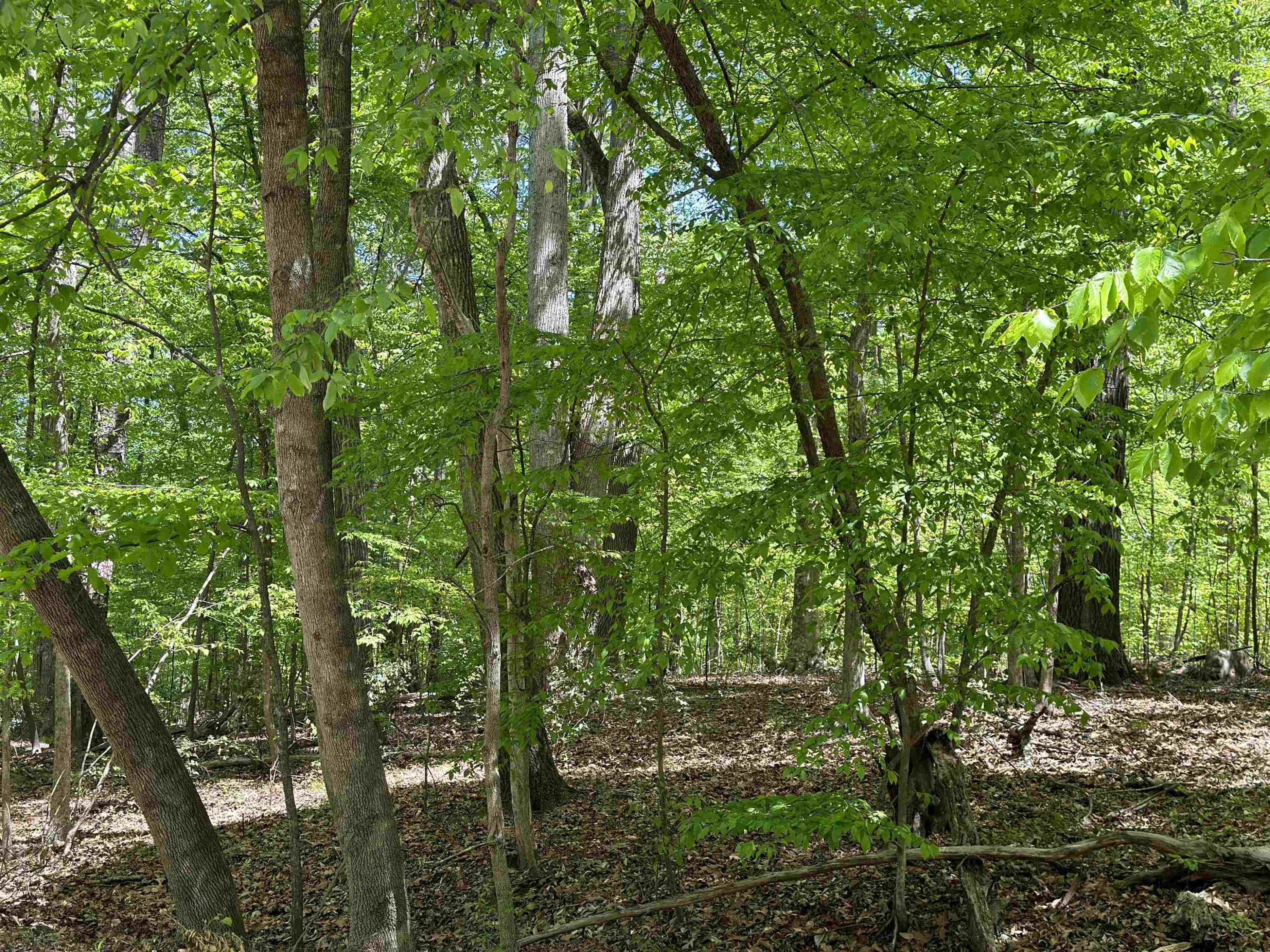 3900 Deep Wood Circle