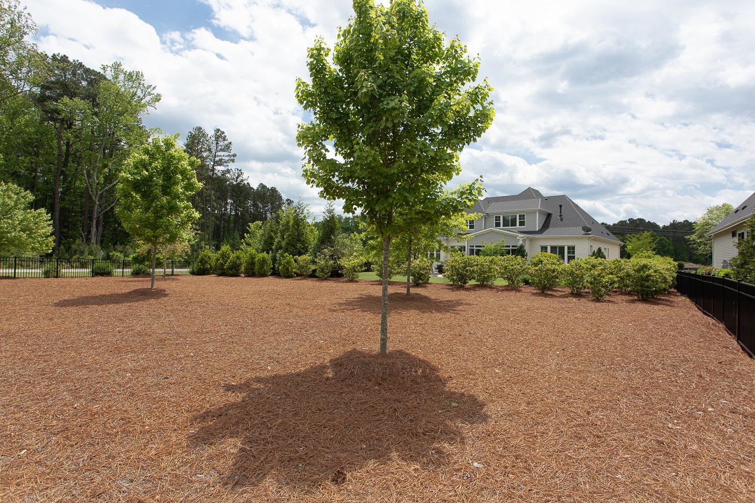 102 Edward Booth Lane