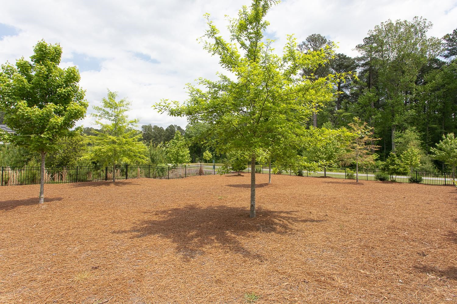 102 Edward Booth Lane