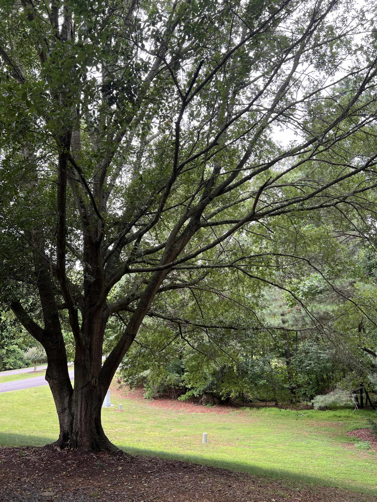 130 Sparger Springs Lane