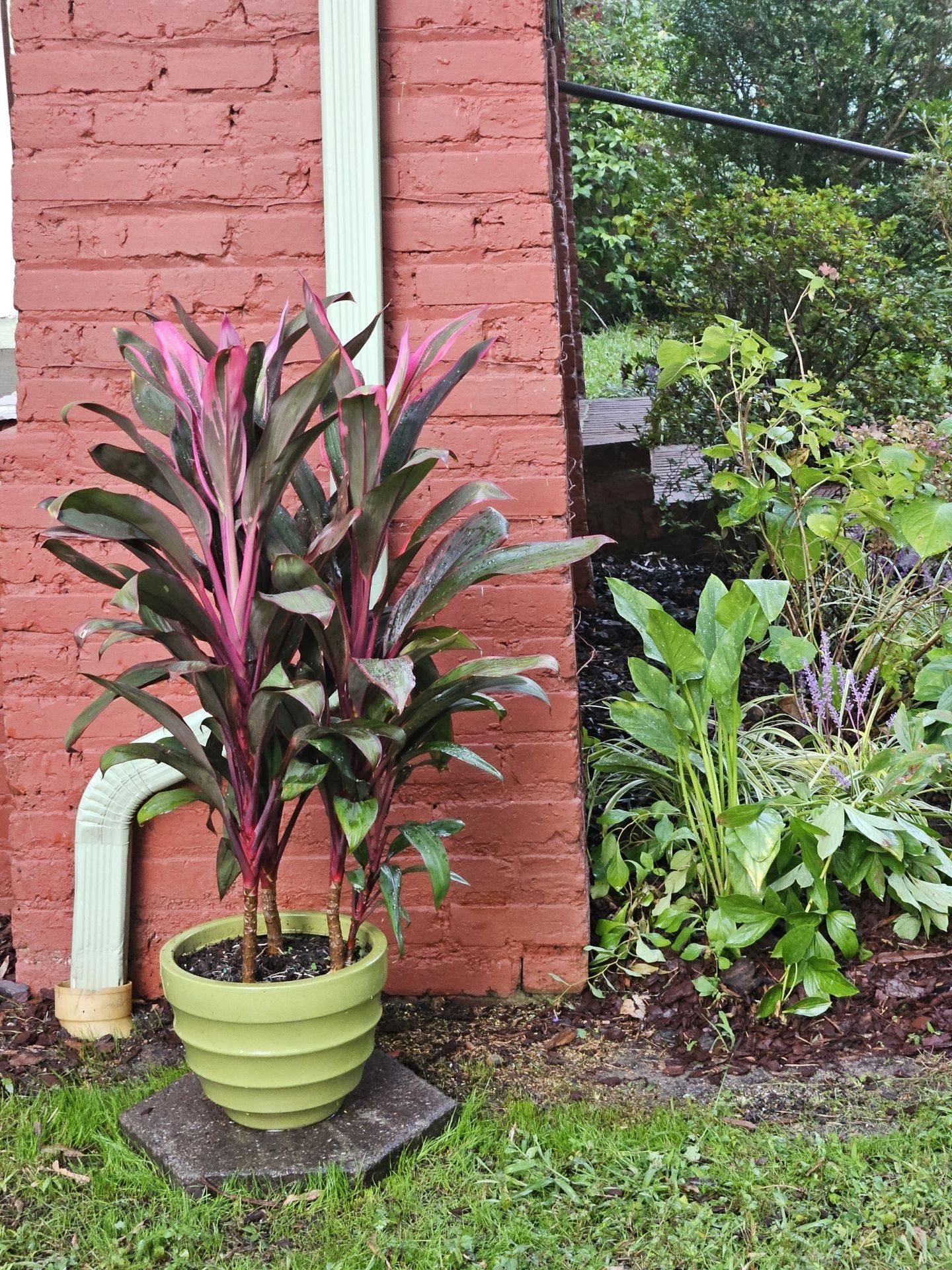 2406 Englewood Avenue