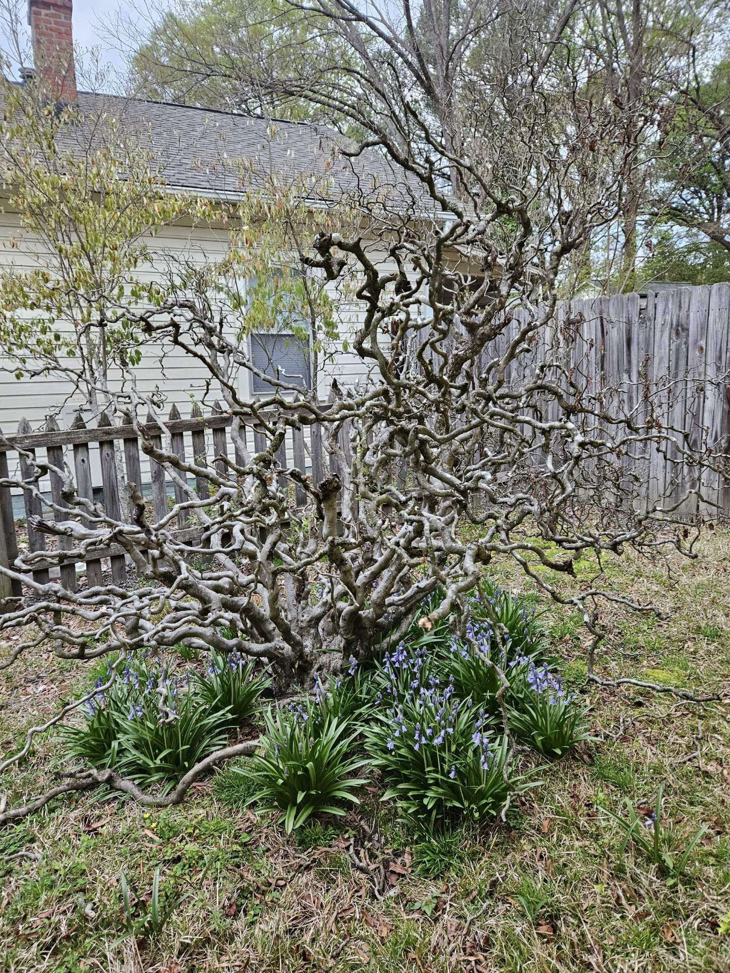 2406 Englewood Avenue