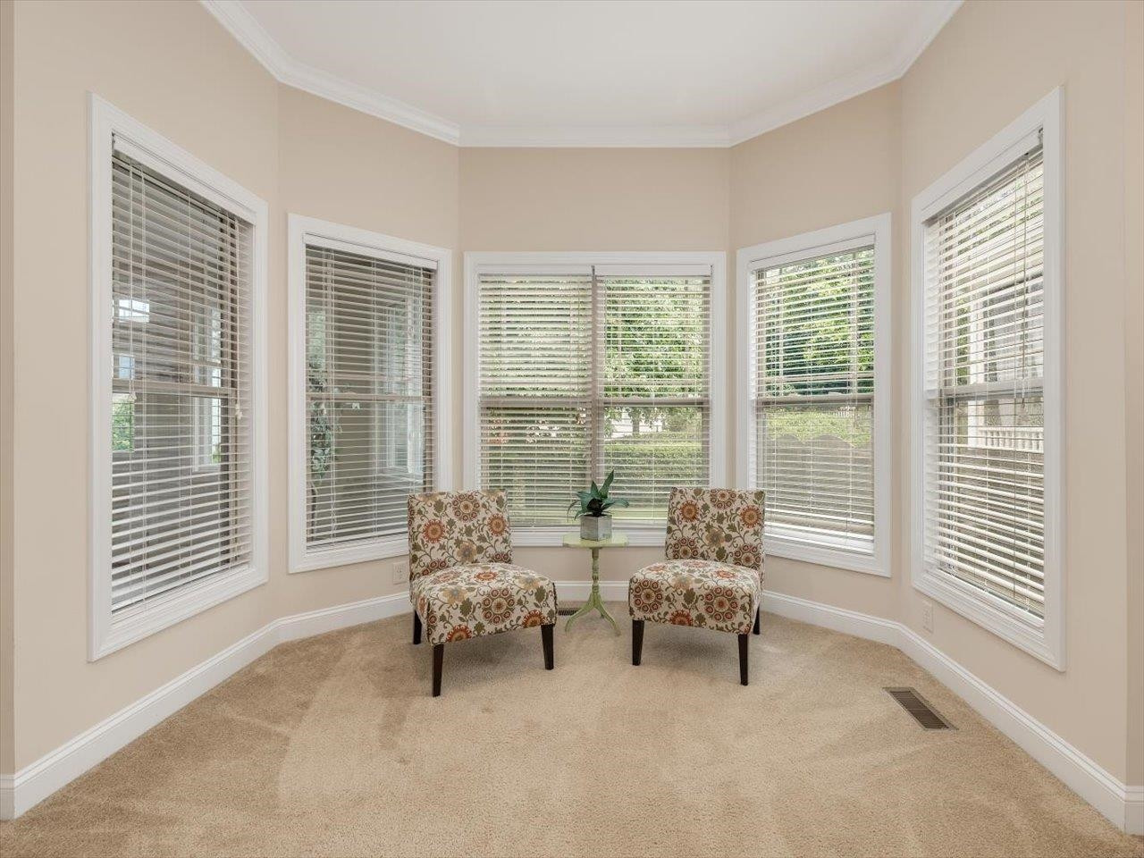 1528 Onyx Creek Drive