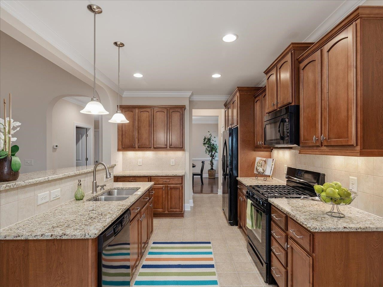 1528 Onyx Creek Drive