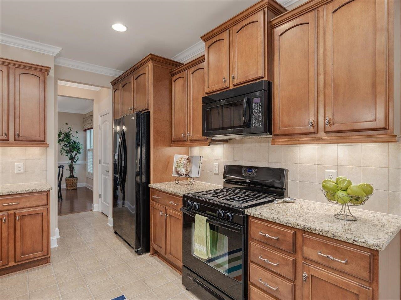 1528 Onyx Creek Drive