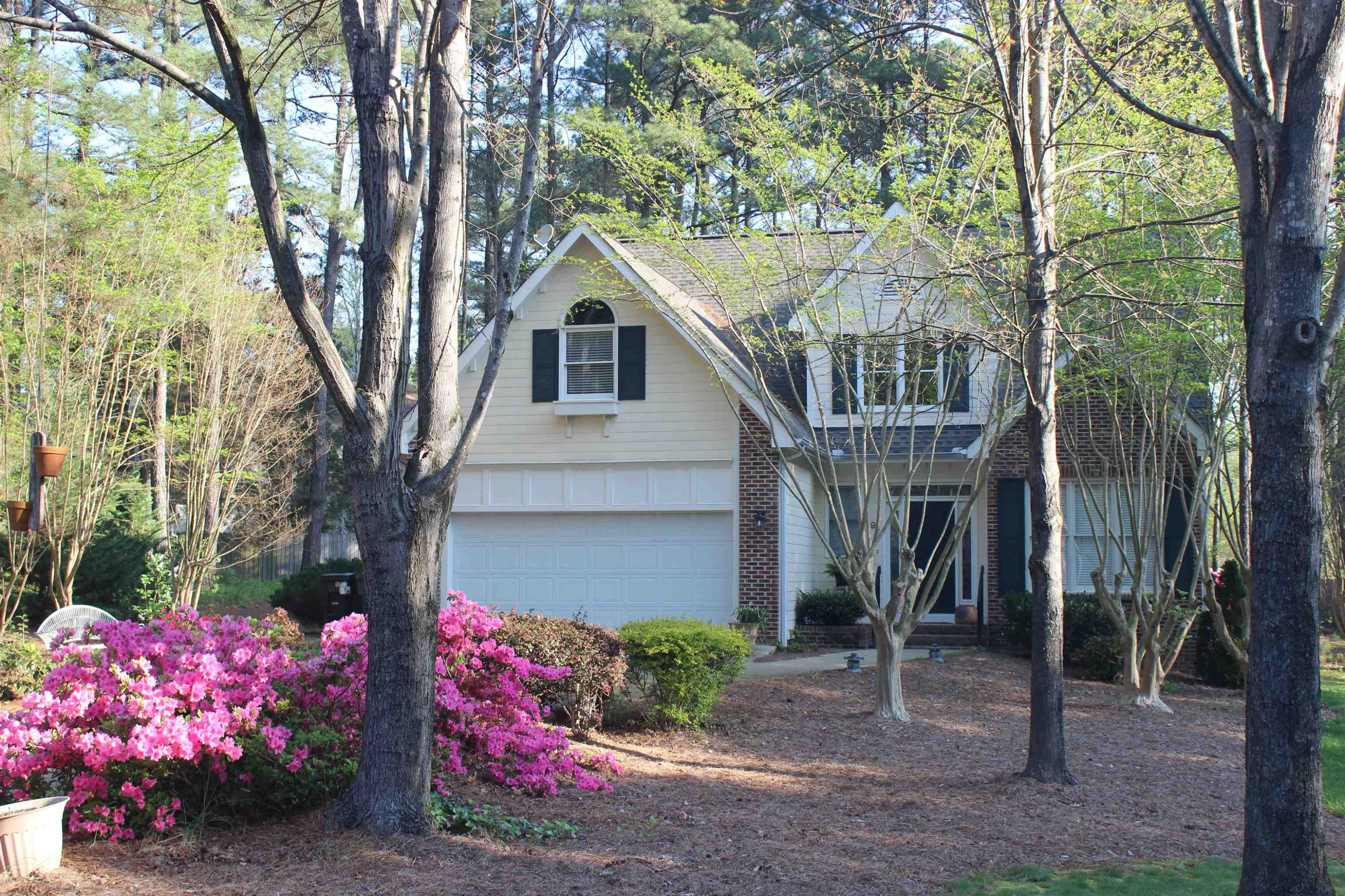 9 Silver Birch Court