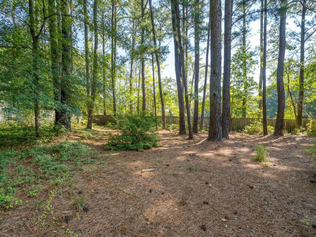 9 Silver Birch Court