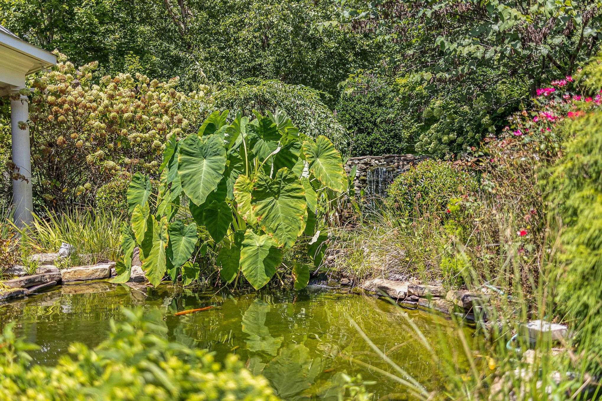 7728 Grace Cove Lane