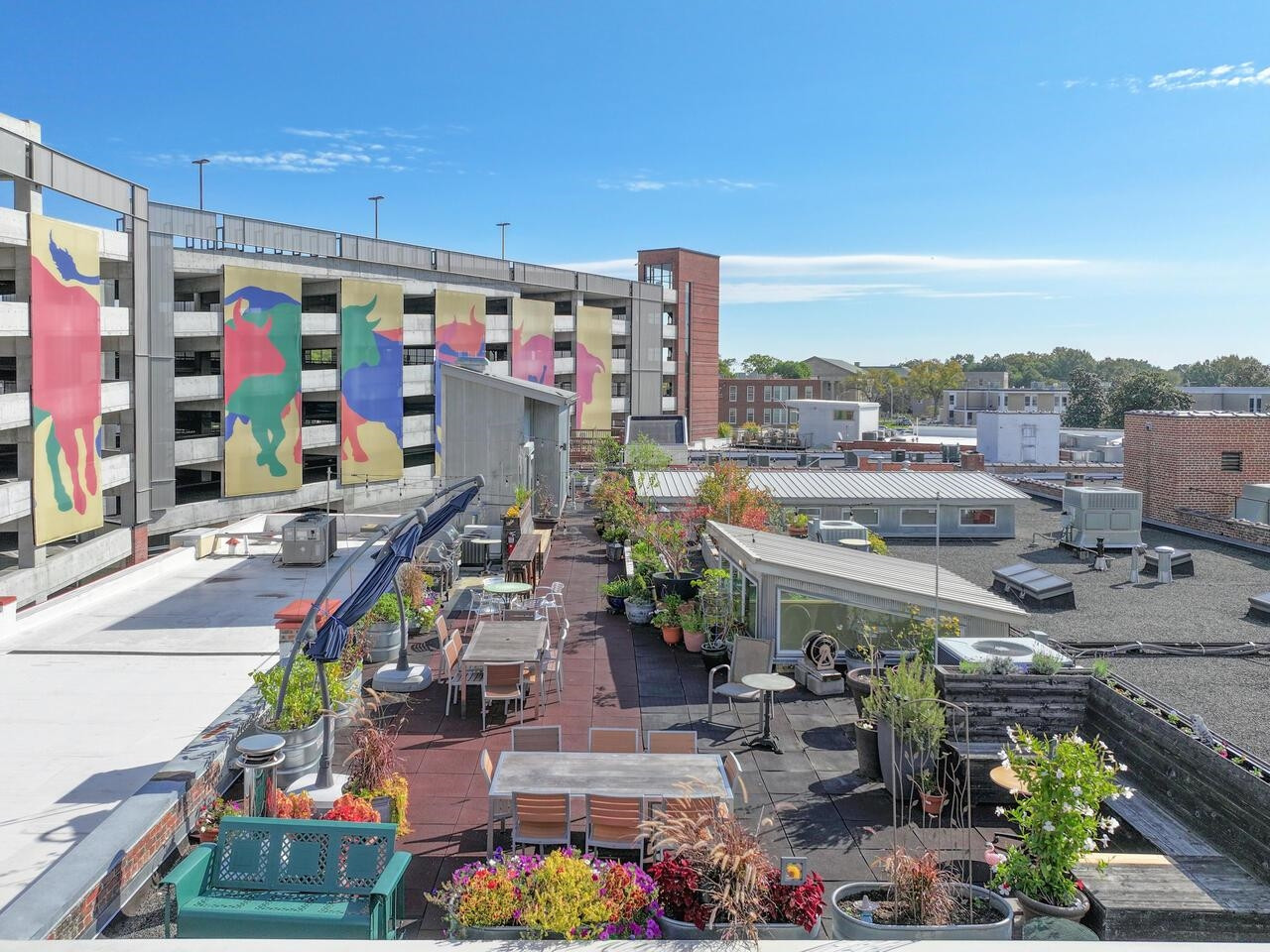 208 Rigsbee Avenue # 207