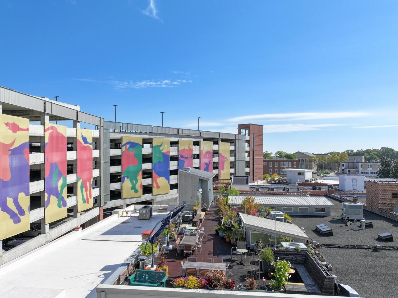 208 Rigsbee Avenue # 207