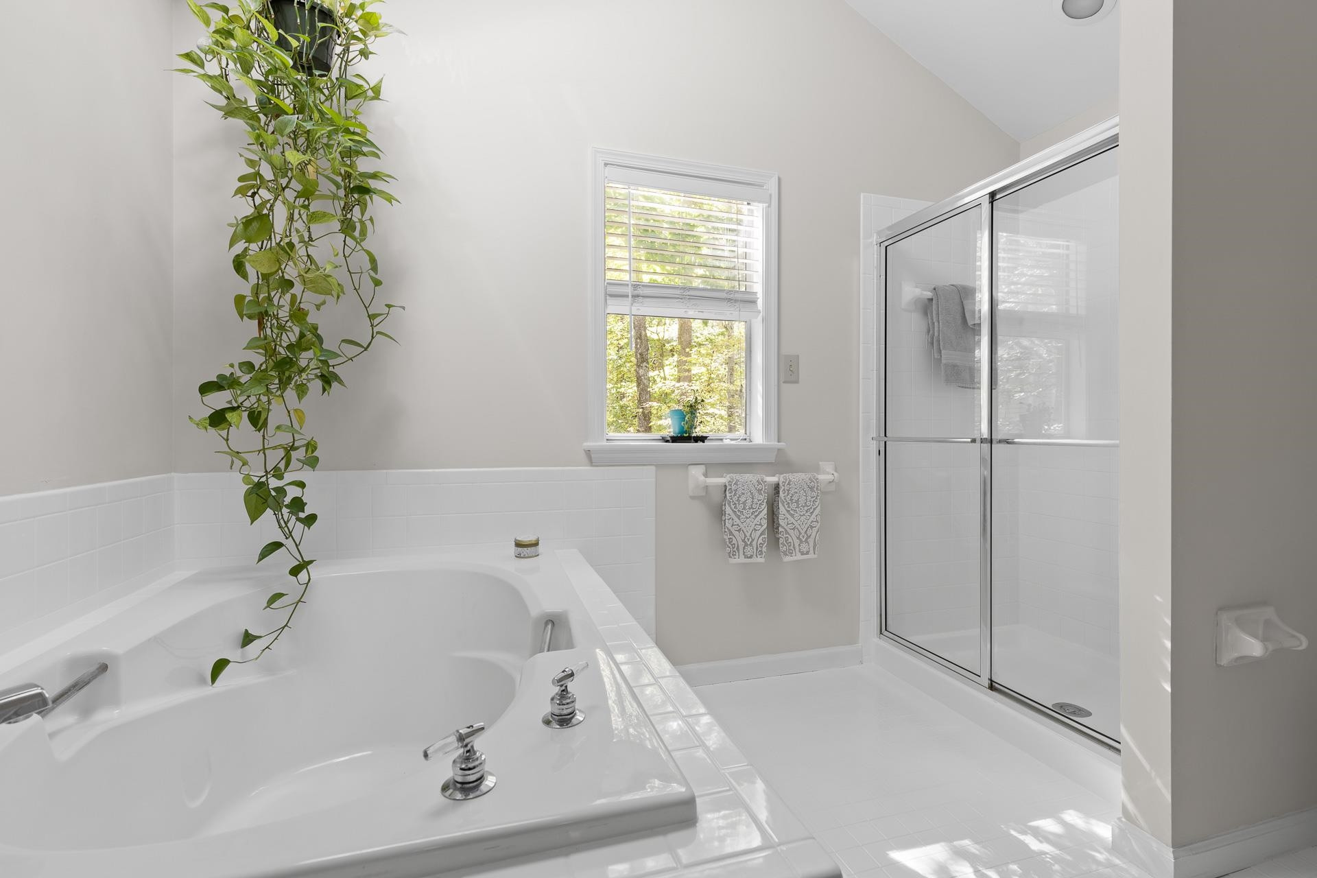 116 Creekview Circle