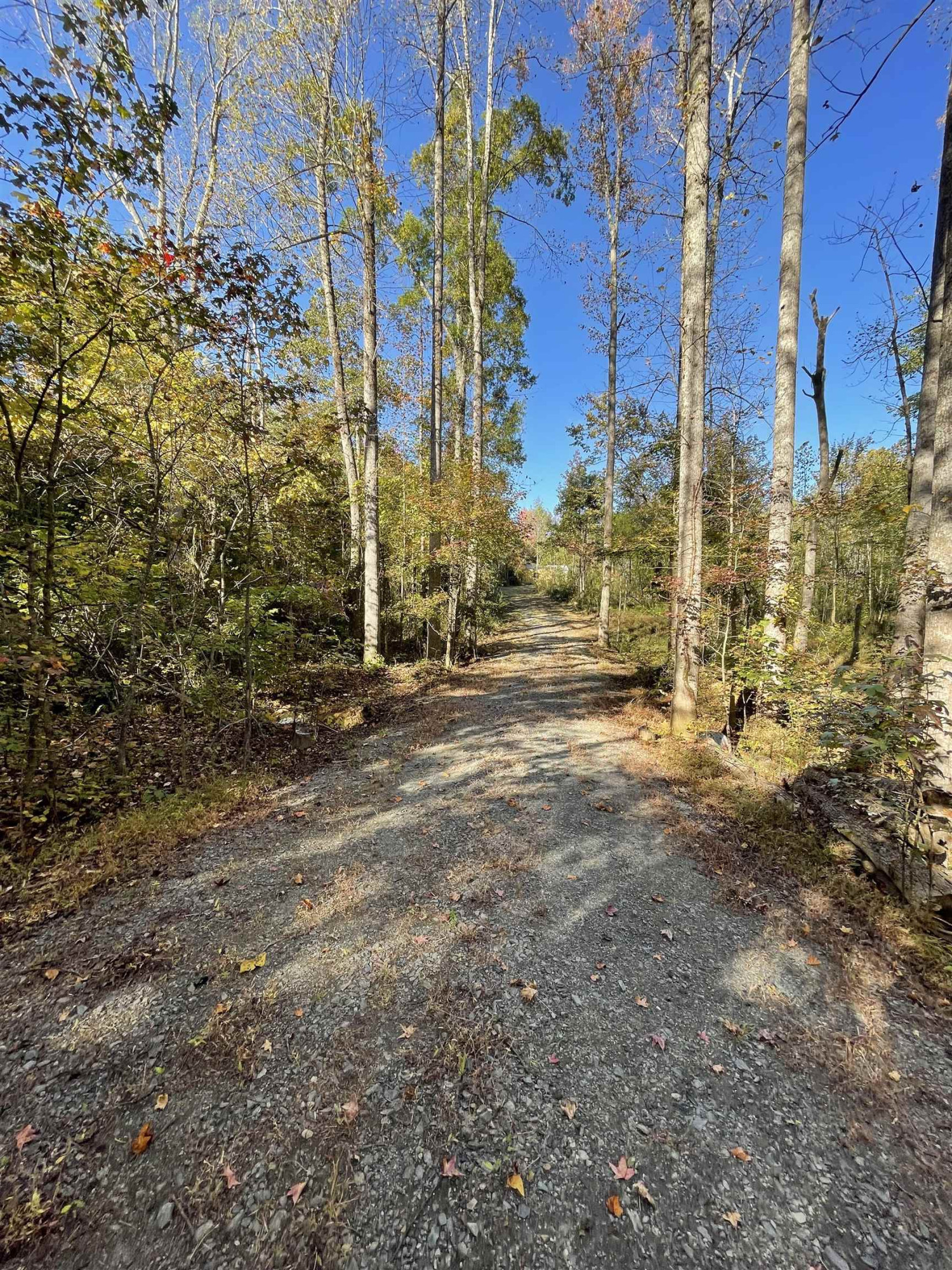 5646 Bouldin Road