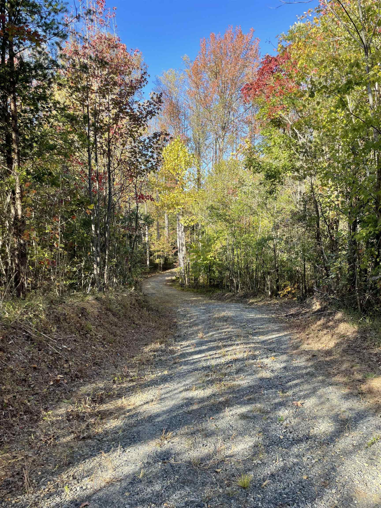 5646 Bouldin Road
