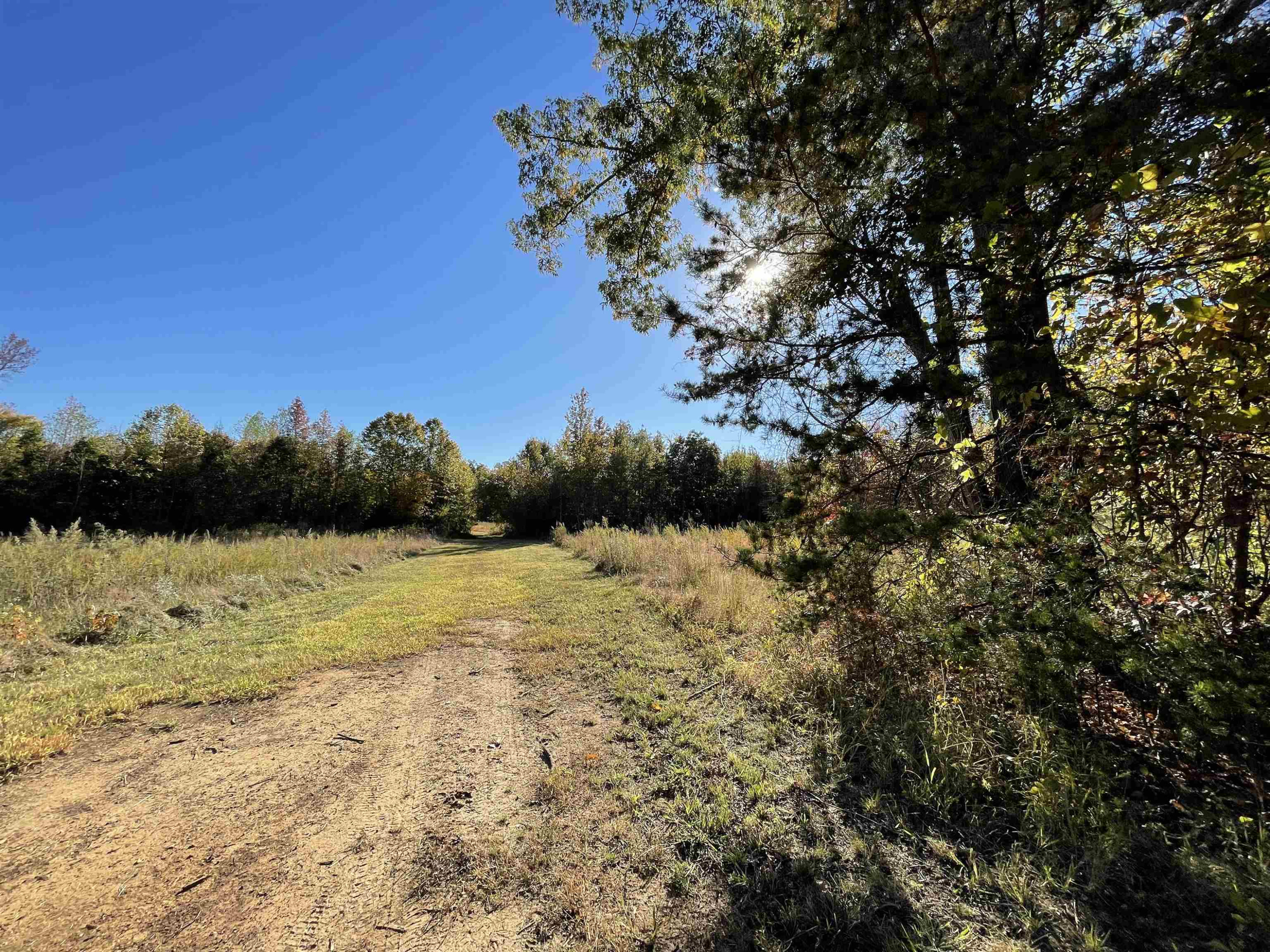 5646 Bouldin Road