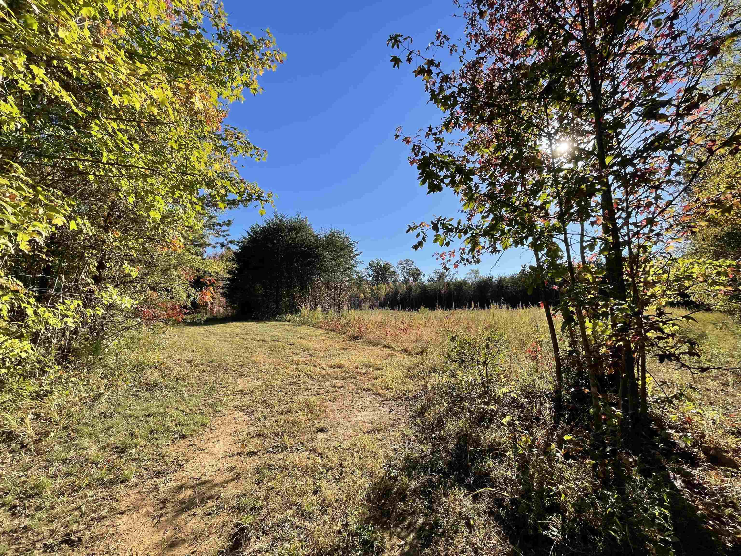 5646 Bouldin Road