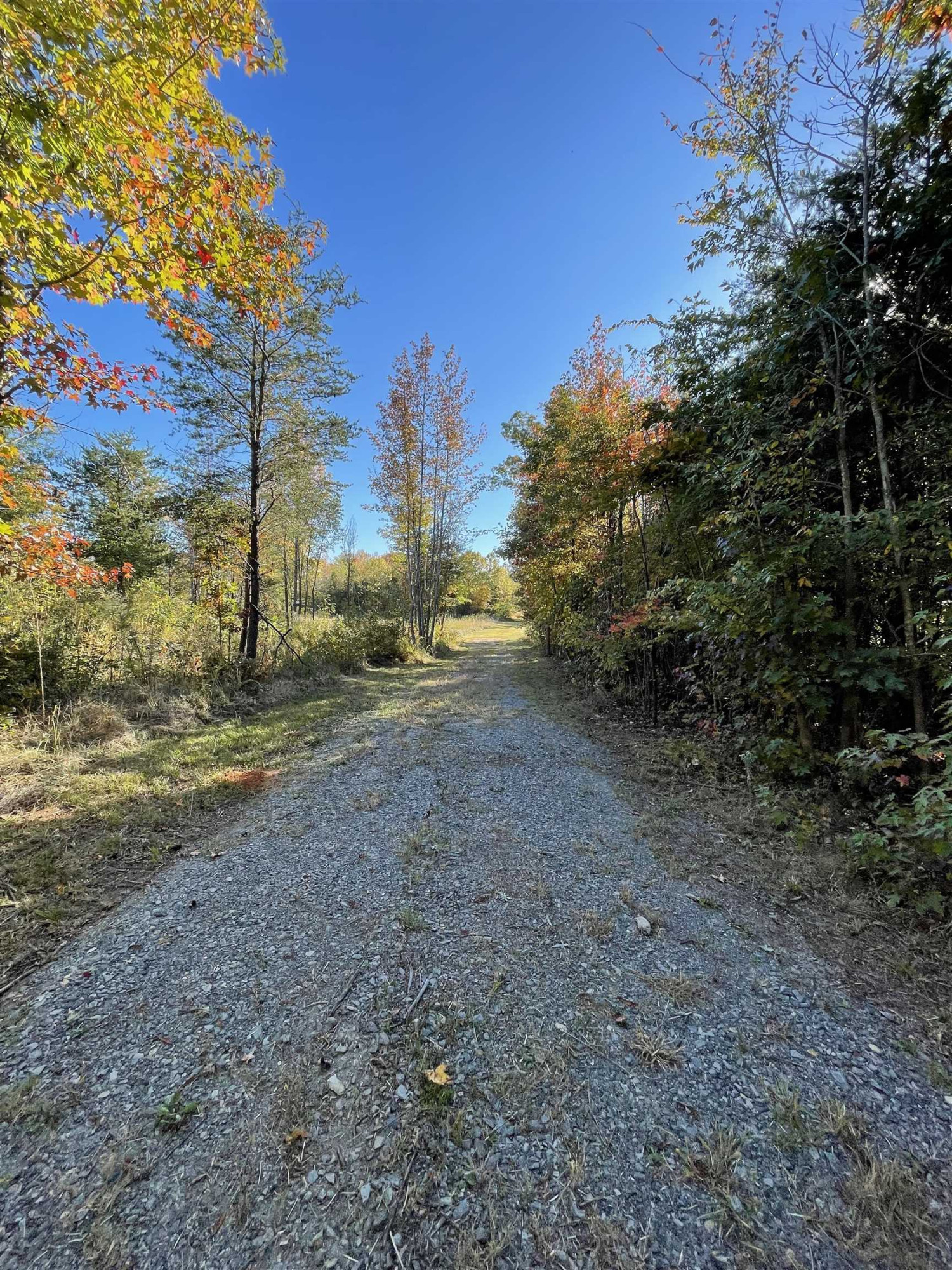 5646 Bouldin Road