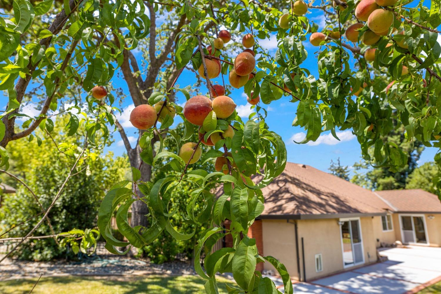 1603 Valley View Court