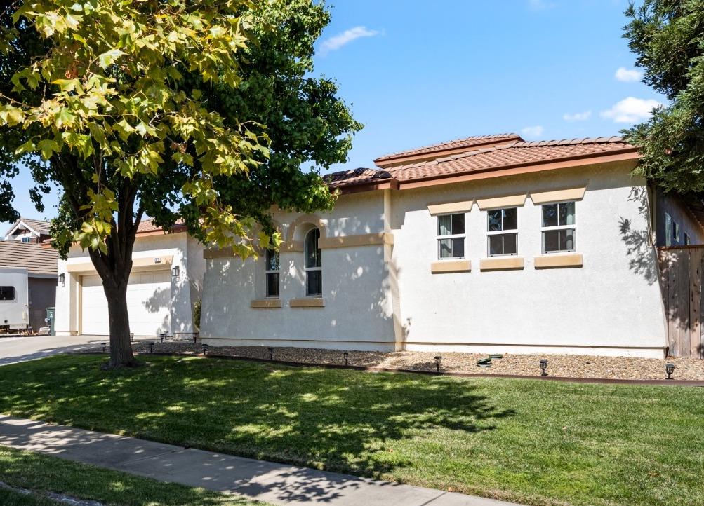 1377 Snowy Egret Street