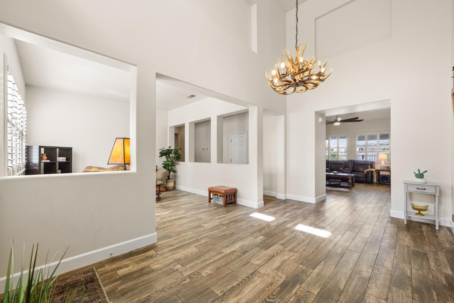 1377 Snowy Egret Street