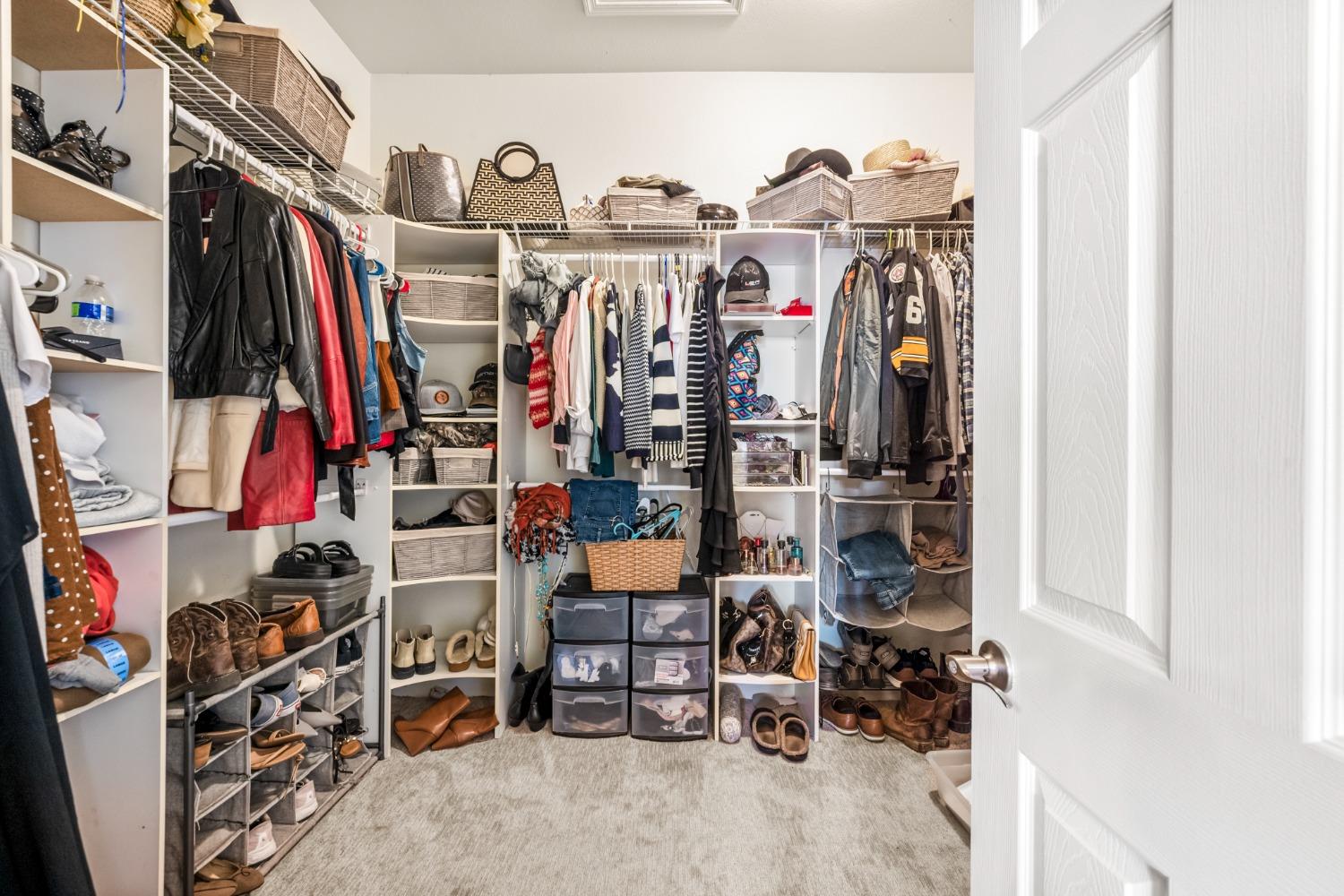 1377 Snowy Egret Street