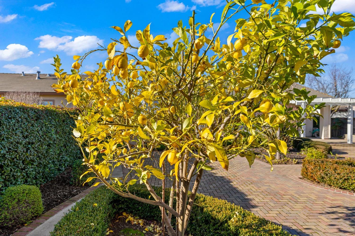 2716 Robinson Creek Lane