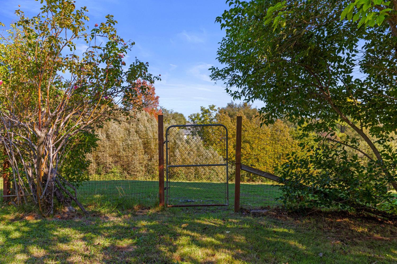 2424 Long Valley Drive