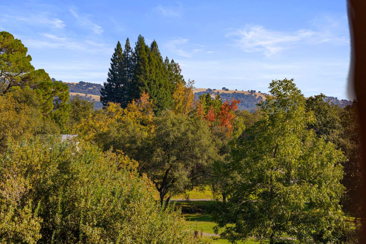 2424 Long Valley Drive