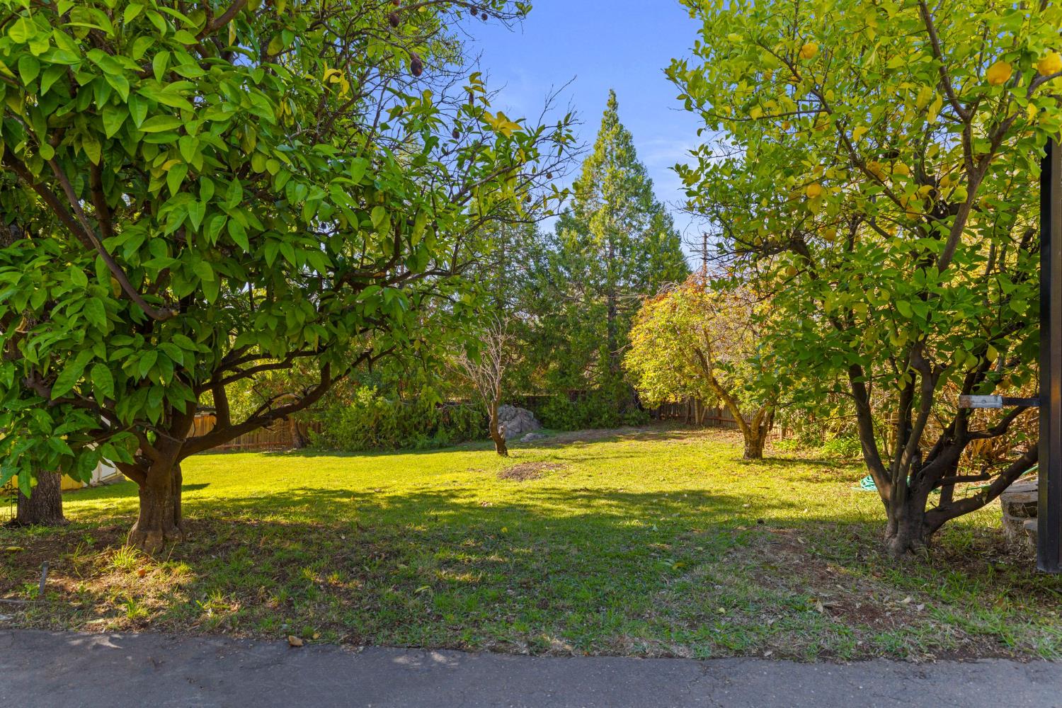 2424 Long Valley Drive