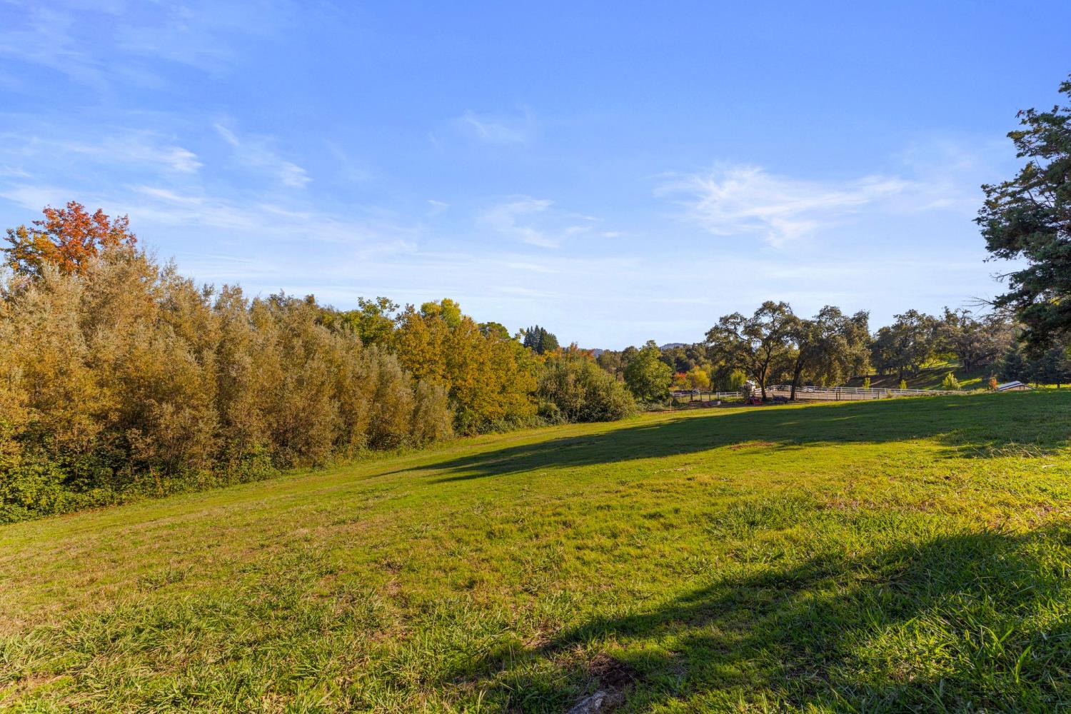 2424 Long Valley Drive