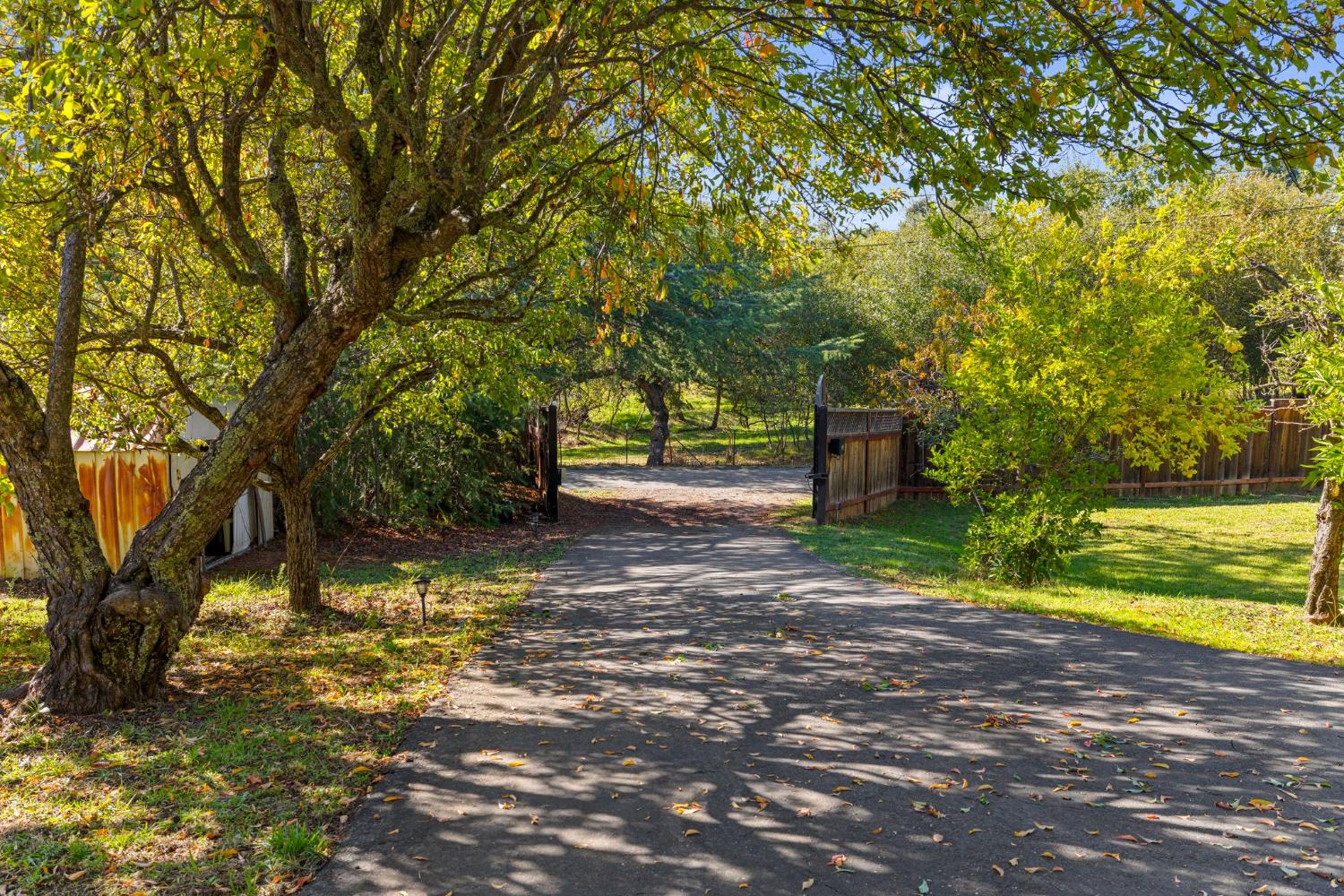 2424 Long Valley Drive