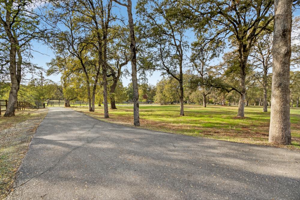 4400 Miller Oak Drive