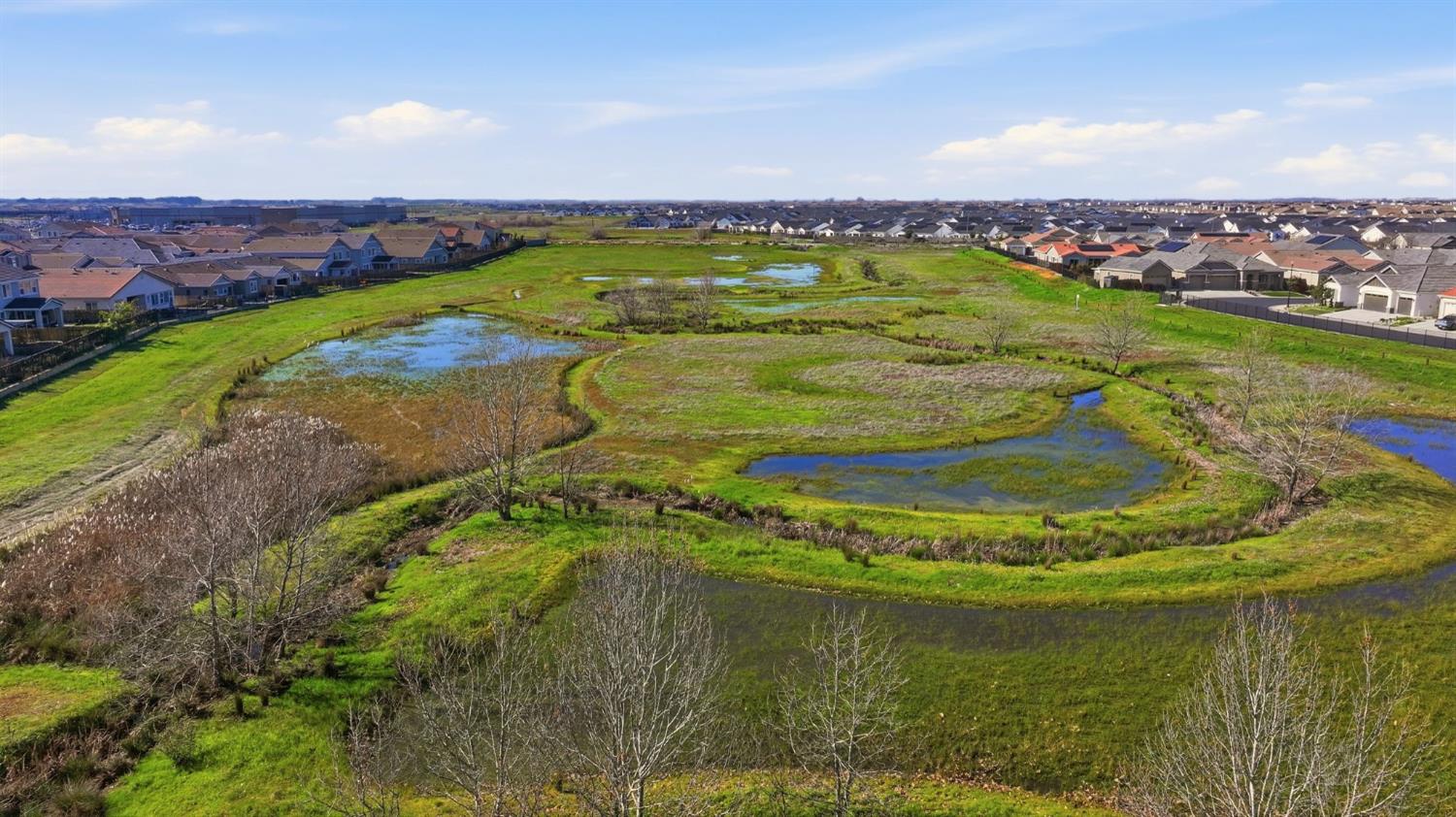 2121 Arbor Ridge Drive