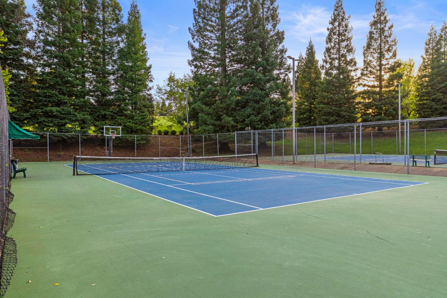 9505 Ashbourne Court