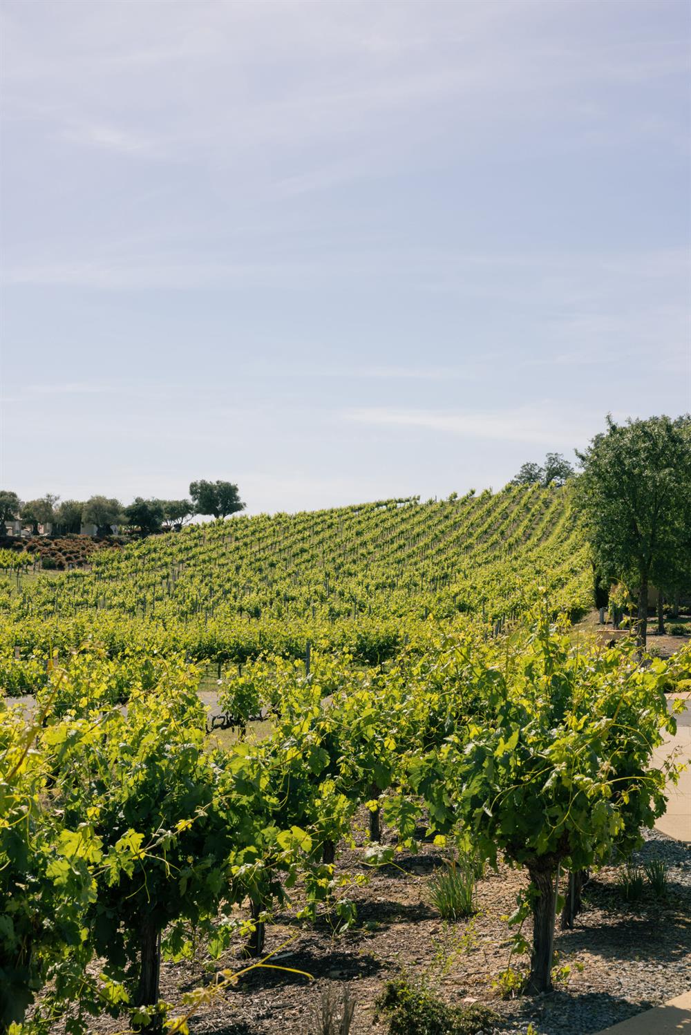 5301 Montserrat Lane