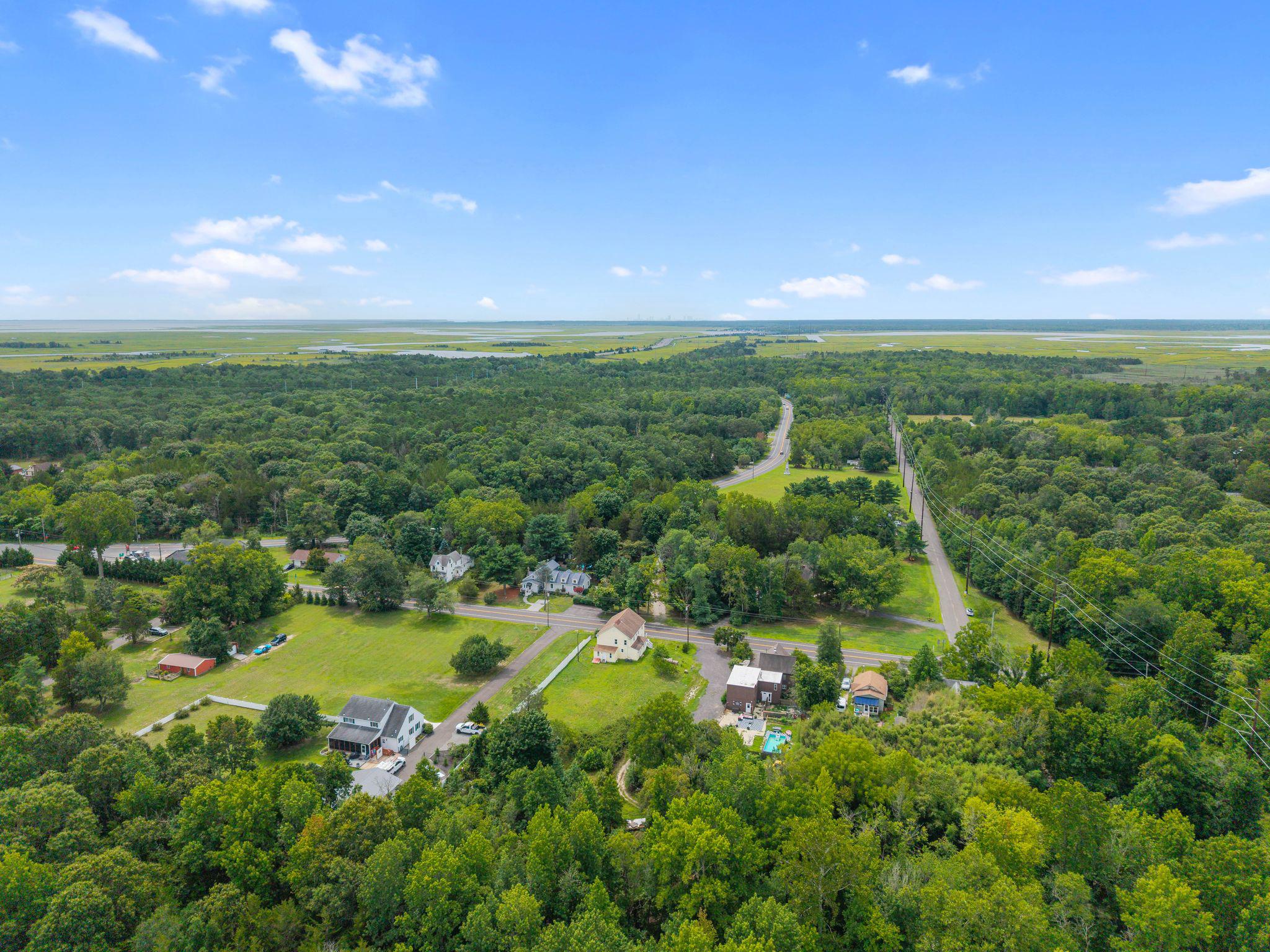 Aerial view of homes and roads among dense woods, with marshland and waterways on the horizon.