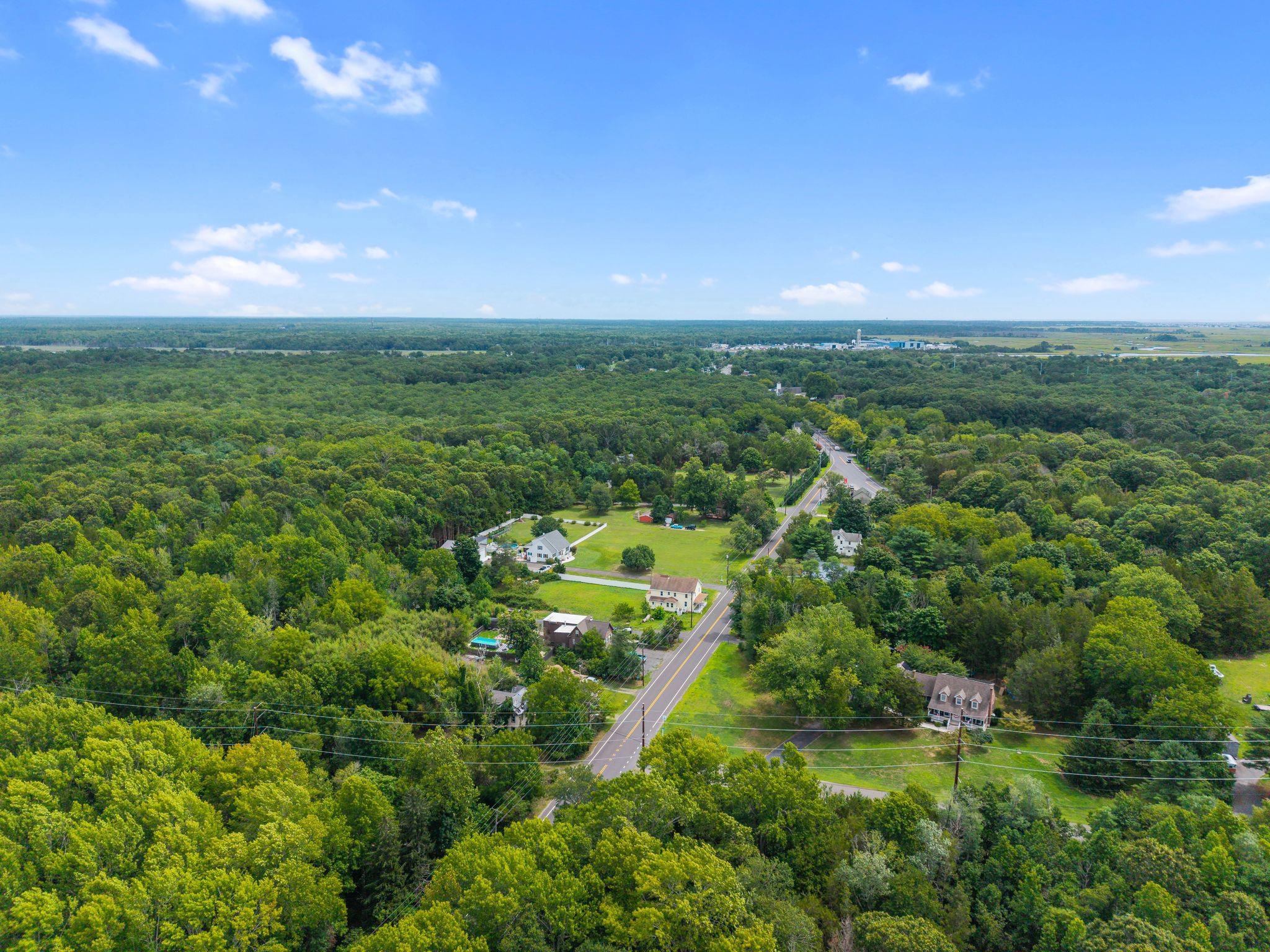 Aerial view of a winding road through dense woodland, passing homes and open lawns.