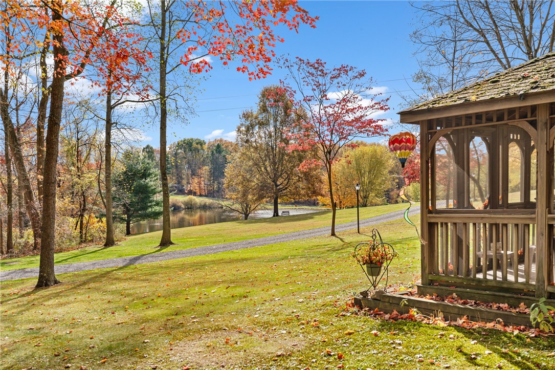 1725 Mount Jackson Rd