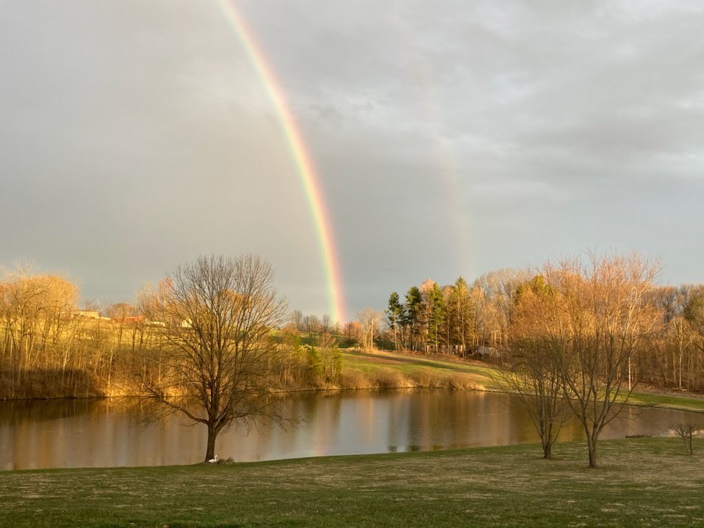 1725 Mount Jackson Rd